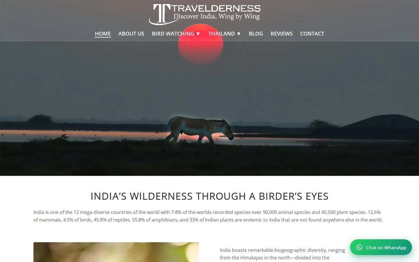 Travelderness homepage preview showing a wildlife scene and bird watching navigation