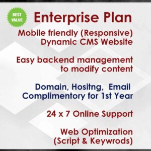 Enterprise plan
