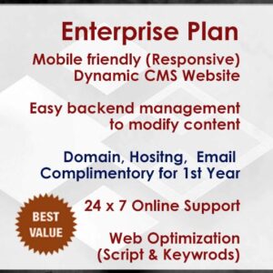 Web optimizaiton Enterprise Plan