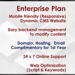 Enterprise Plan Website design