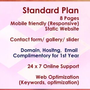 website standard plans